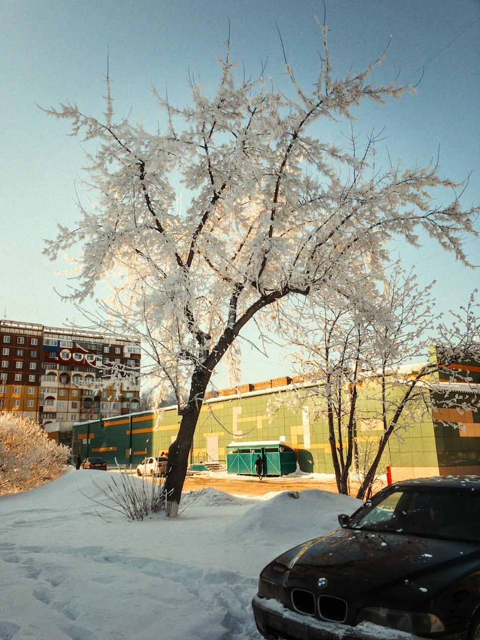 Sustainable Building